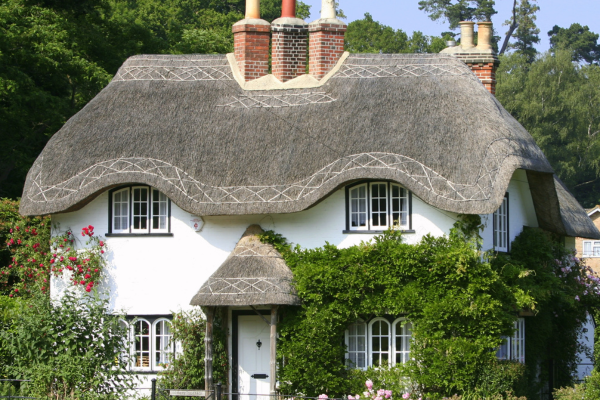 Thatched House 1