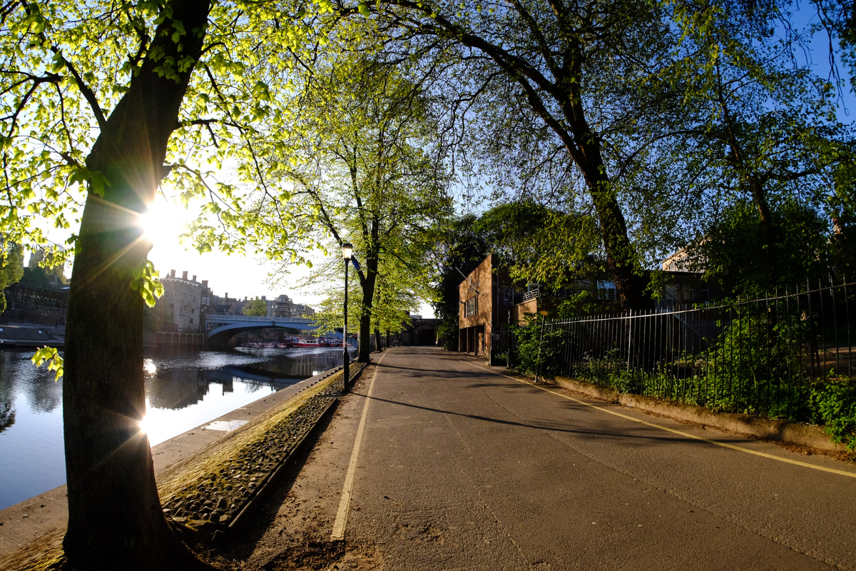 Tree Risk Management Support Commercial & Flats (8)